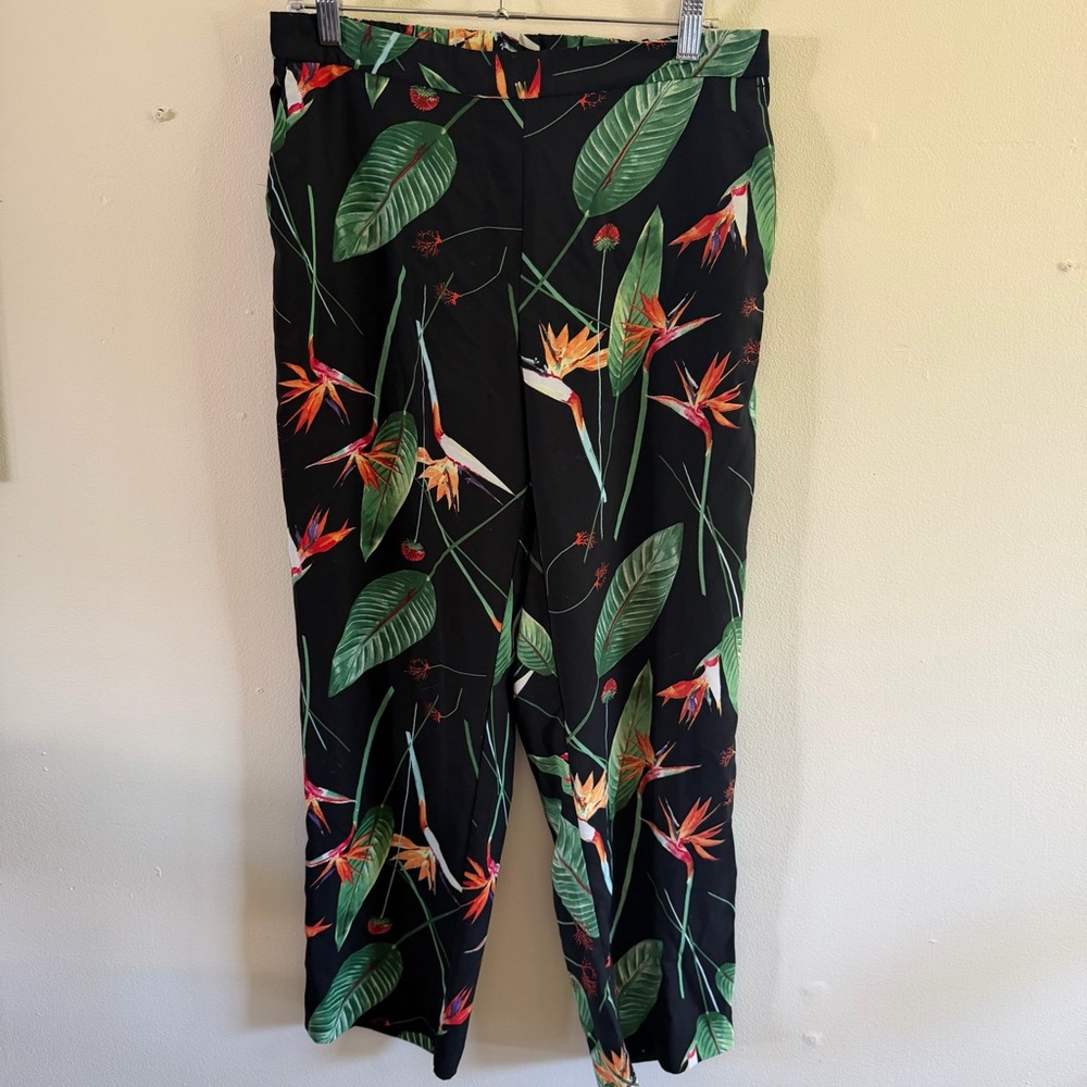 Tropical Bird of Paradise Plant Floral Straight Leg Pants - Black Background